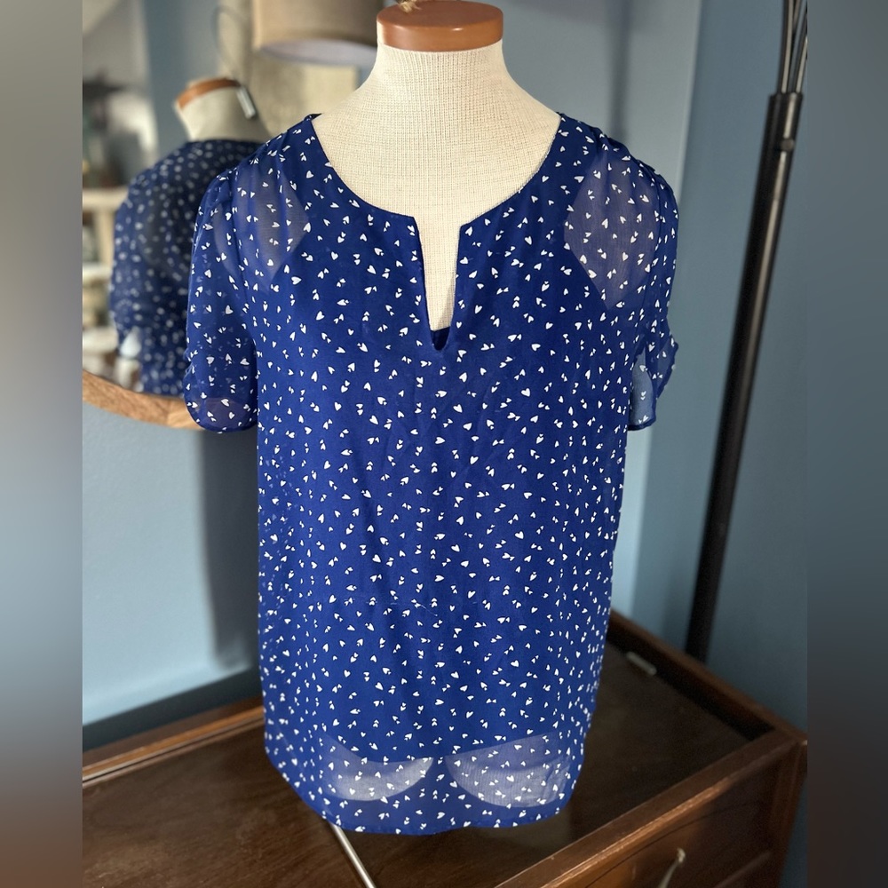 Daniel Rainn Women’s Sheer Blouse